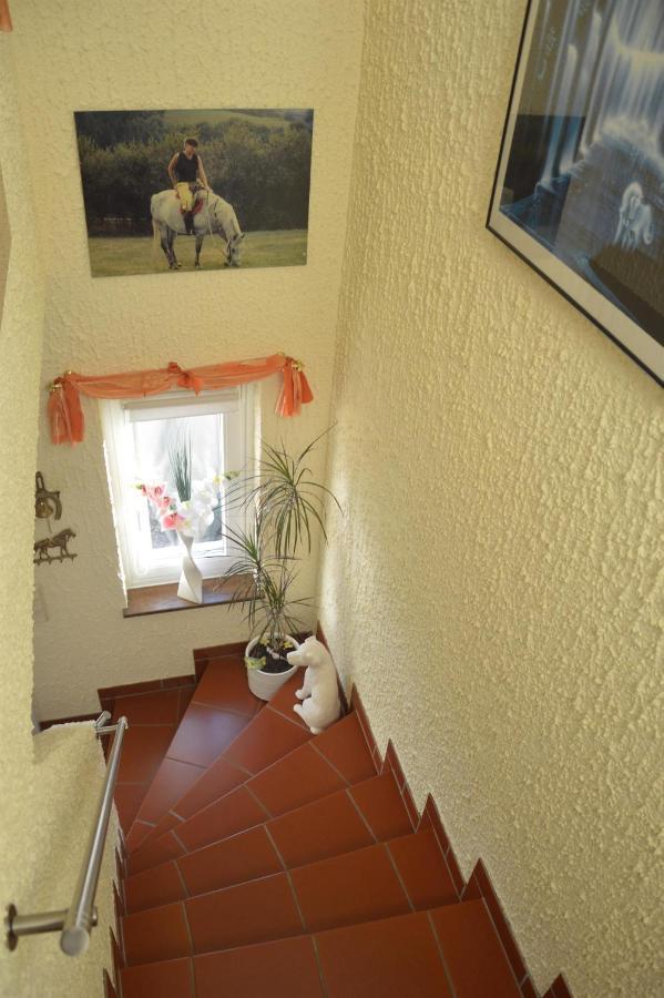 Ferienwohnung Auszeit Waxweiler Екстер'єр фото